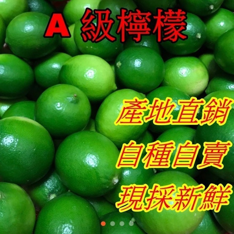 屏東無毒檸檬 1