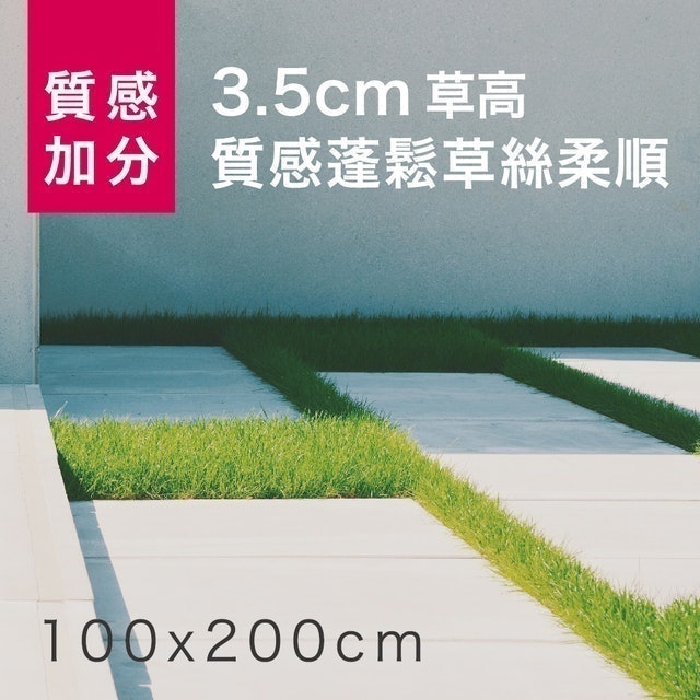 10 大人工草皮推薦排行榜 1