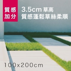 草地皮 人工草皮