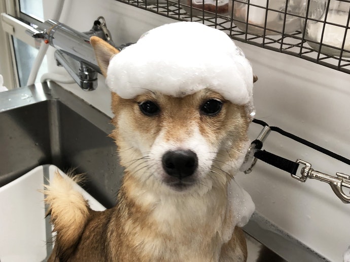 避免香味過於刺鼻