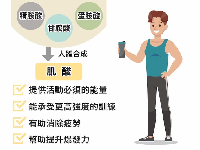 肌酸