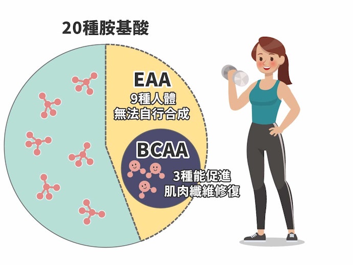 EAA(BCAA)