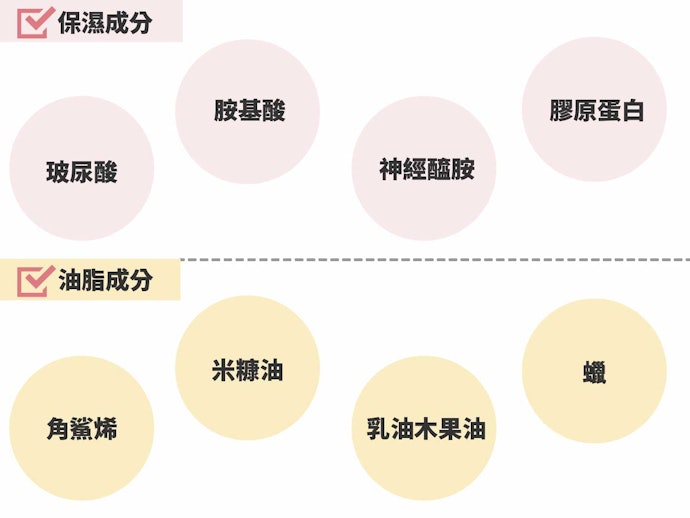 充分補水保濕乳液,可維持肌膚代謝