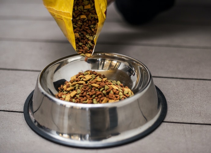 依據愛犬健康情形選擇適合的飼料型態