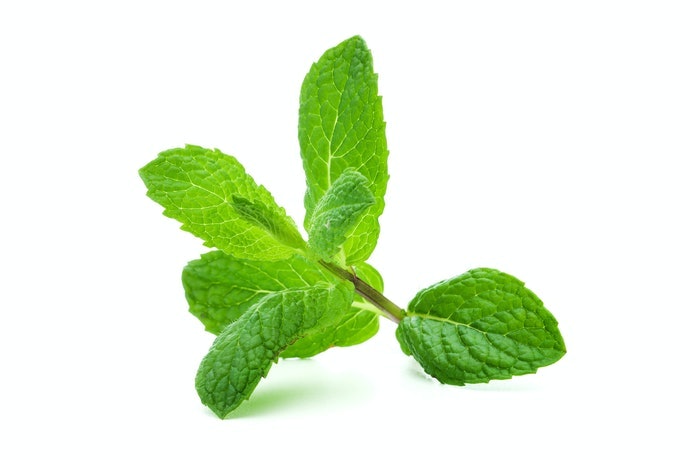 根據薄荷成分判定清涼程度
