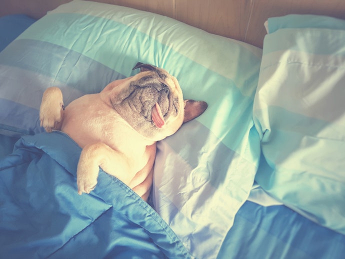 睡眠中可用涼感寢具