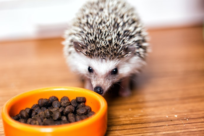 變更種類或混合多種飼料