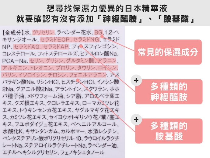 透過「神經醯胺」與「胺基酸」加強肌膚的鎖水能力