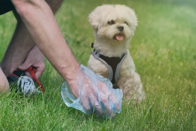 根據愛犬體型挑選適合的尺寸