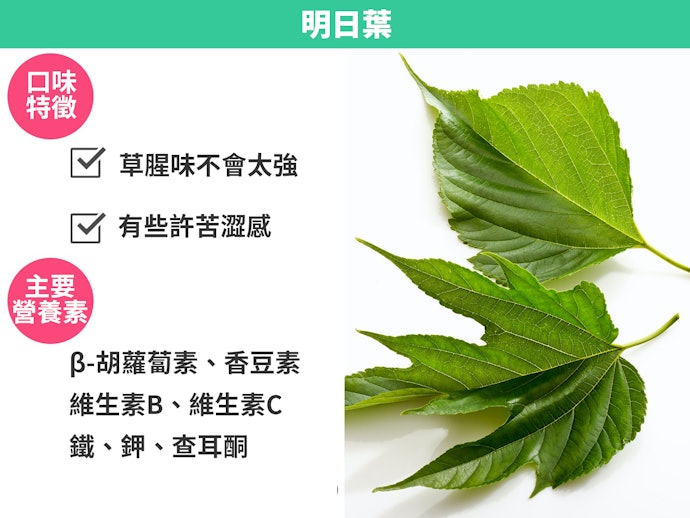 明日葉:膳食纖維、β-胡蘿蔔素含量高,草腥味不會太強