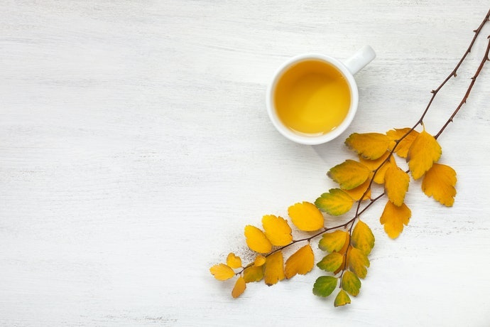 京番茶、炭火焙茶:個性派獨特的香味