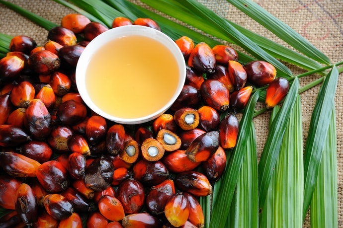 油性肌膚:棕櫚油配方可清爽洗淨