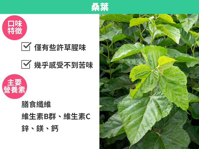 桑葉:富含現代人易缺乏的礦物質,味道順口