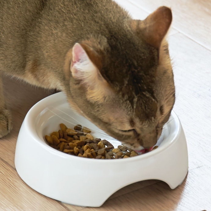 利用貓碗弧度集中飼料、防止溢出