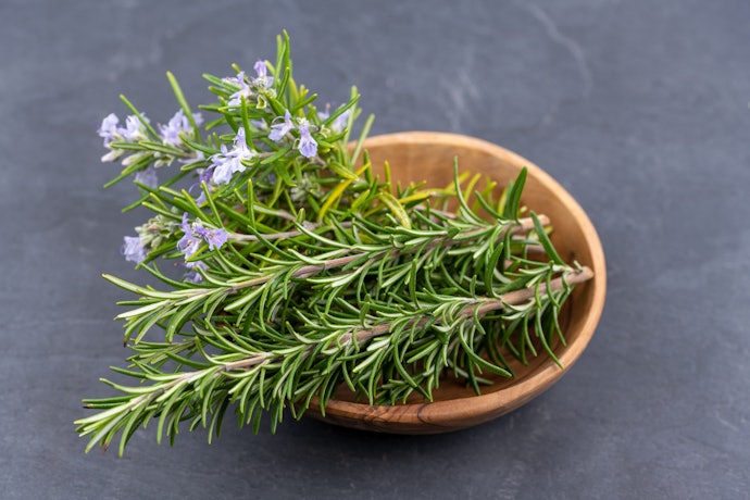 可搭配防蚊掛片、防蚊門簾、蚊帳或防蚊植物加強效果