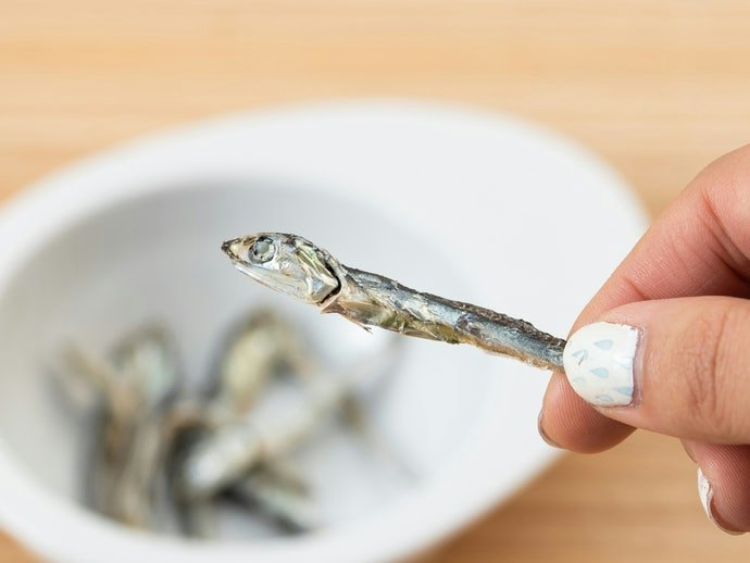 控制體重:以魚類食材為主的零食