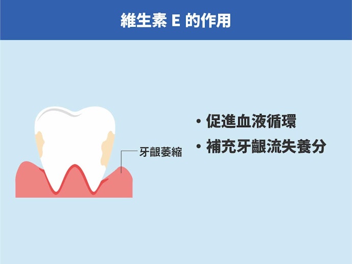 「維生素E」等滋養成分:促進血液循環、活化護理牙齦