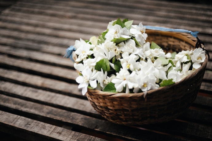 令人難以忘懷的「Mon Jasmin Noir」