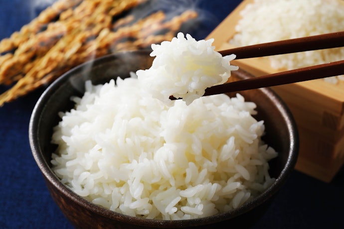 白金或鐵器塗層強化米飯甜味口感再升級