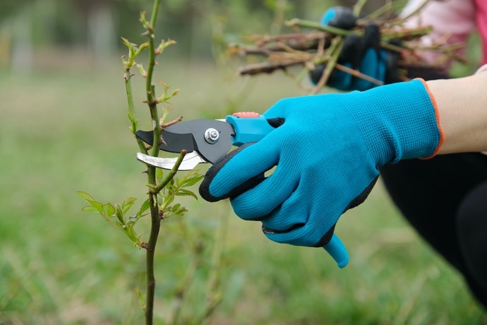 處理帶刺植物或操作危險用具時:特殊加厚手套