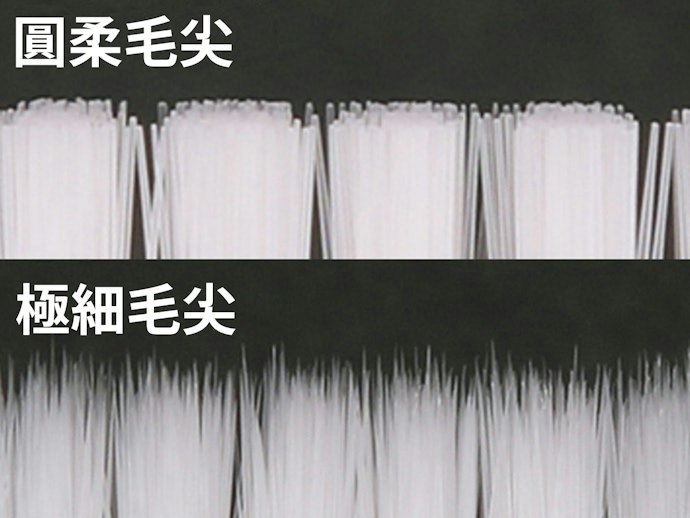 前端越細越好刷牙縫