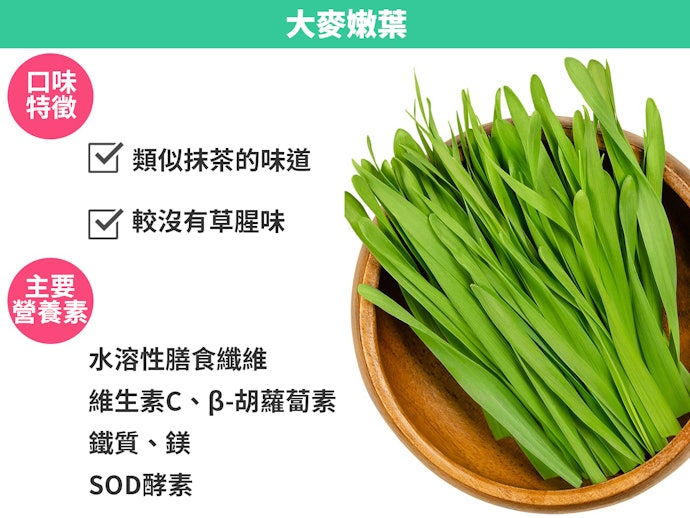 大麥嫩葉:維生素C、礦物質等營養素豐富,味道清淡好入口