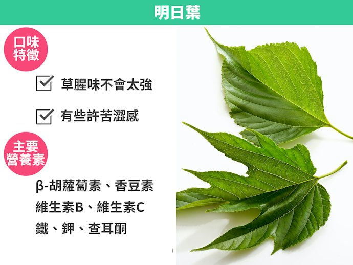 明日葉:膳食纖維、β-胡蘿蔔素含量高,草腥味不會太強