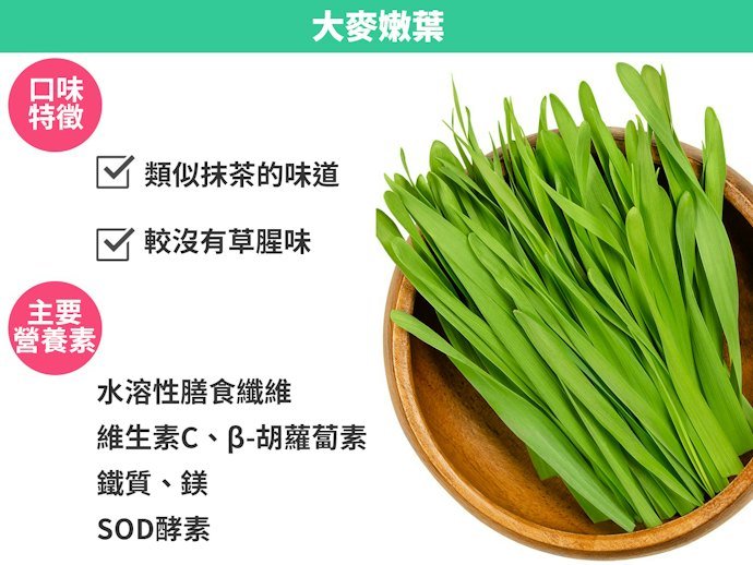 大麥嫩葉:維生素C、礦物質等營養素豐富,味道清淡好入口