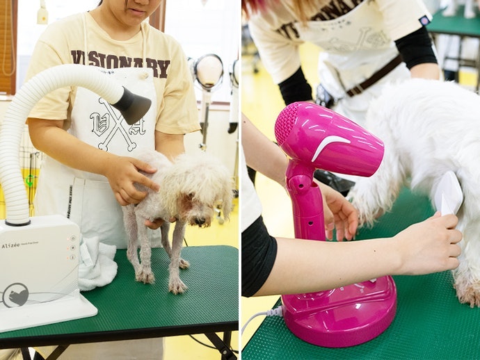 直立型:可同時梳理毛髮或固定愛犬身體