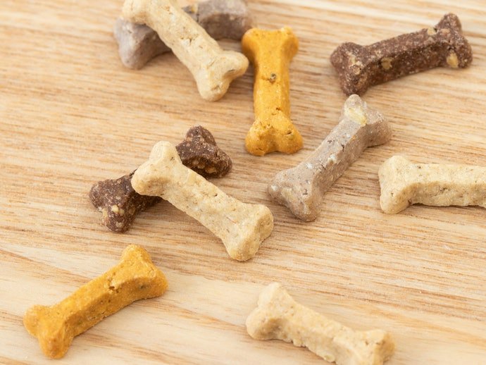 訓練幼犬:應選擇口感、成分與飼料相近的零食