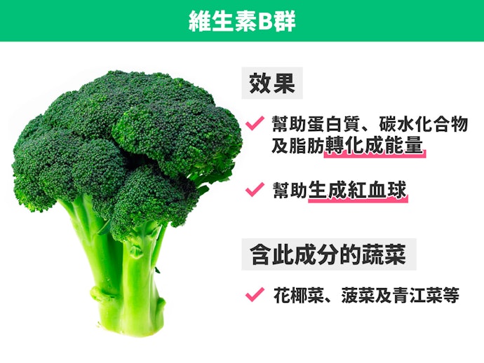 維生素B群:維持體力、改善疲勞感
