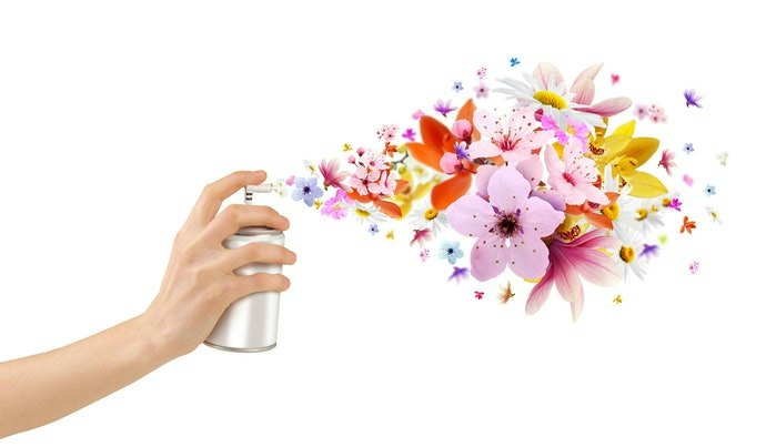 想立即見效就以芳香噴霧或擴香機為優先