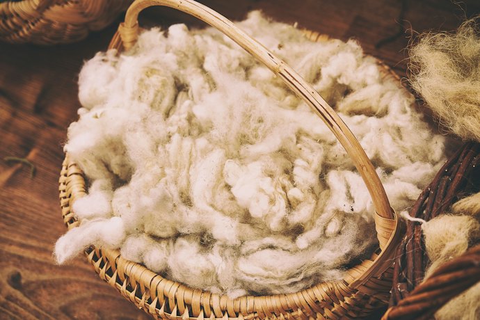動物纖維:以羊毛為主,舒服親膚