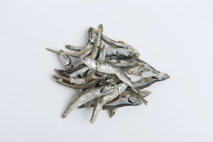 沙丁魚高湯
