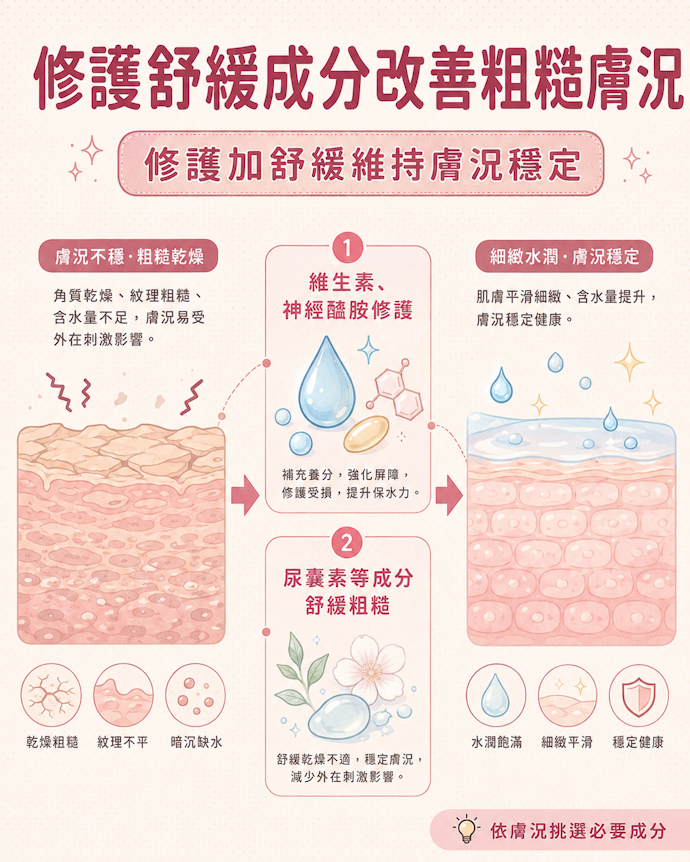 含有整肌調理的維生素、神經醯胺、尿囊素,能改善膚況不穩與皮膚粗糙問題
