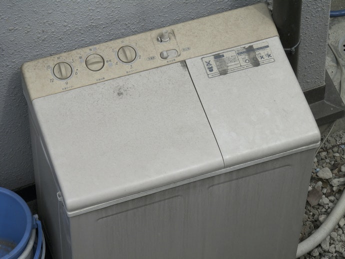 雙槽洗衣機:選擇專用或兼用款