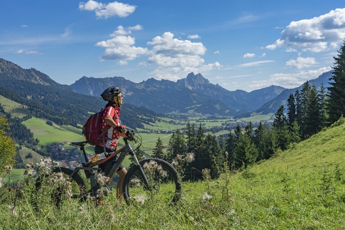 MTB、Cyclo-cross:可應對多數路面的耐用款