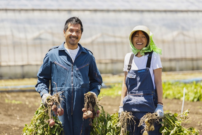職人:了解日本各行各業的生活百態