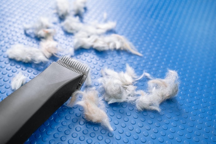 能替換刀刃之機款,可延長產品壽命