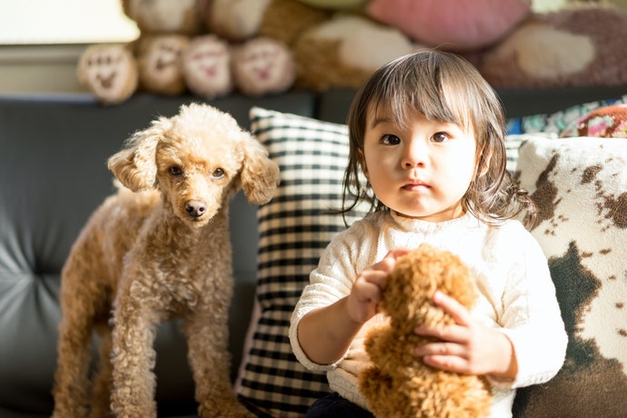 無化學成分的除塵紙對寵物和幼童都友善